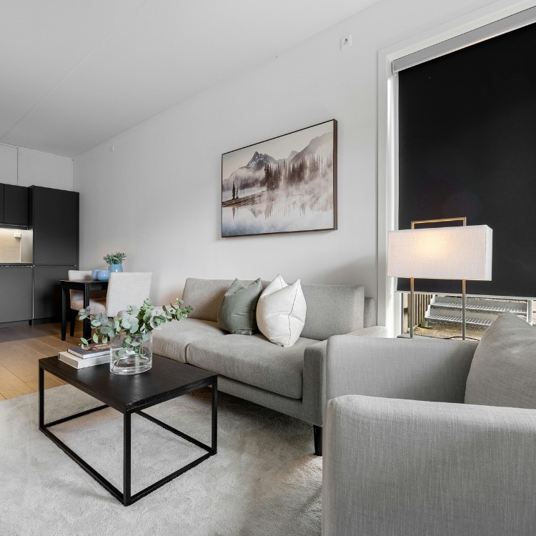 Moving & Junk Removal in Milwaukee, WI